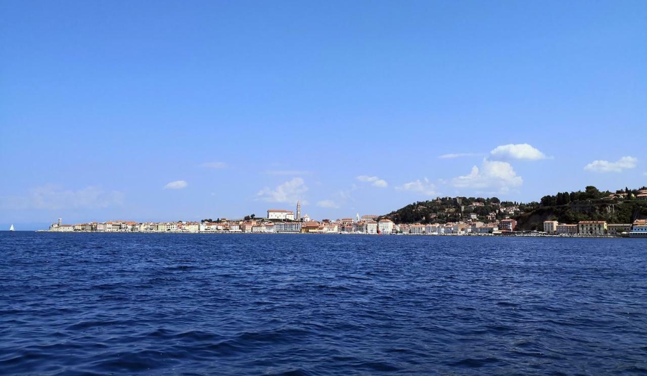 Studio Carmen Piran Dış mekan fotoğraf